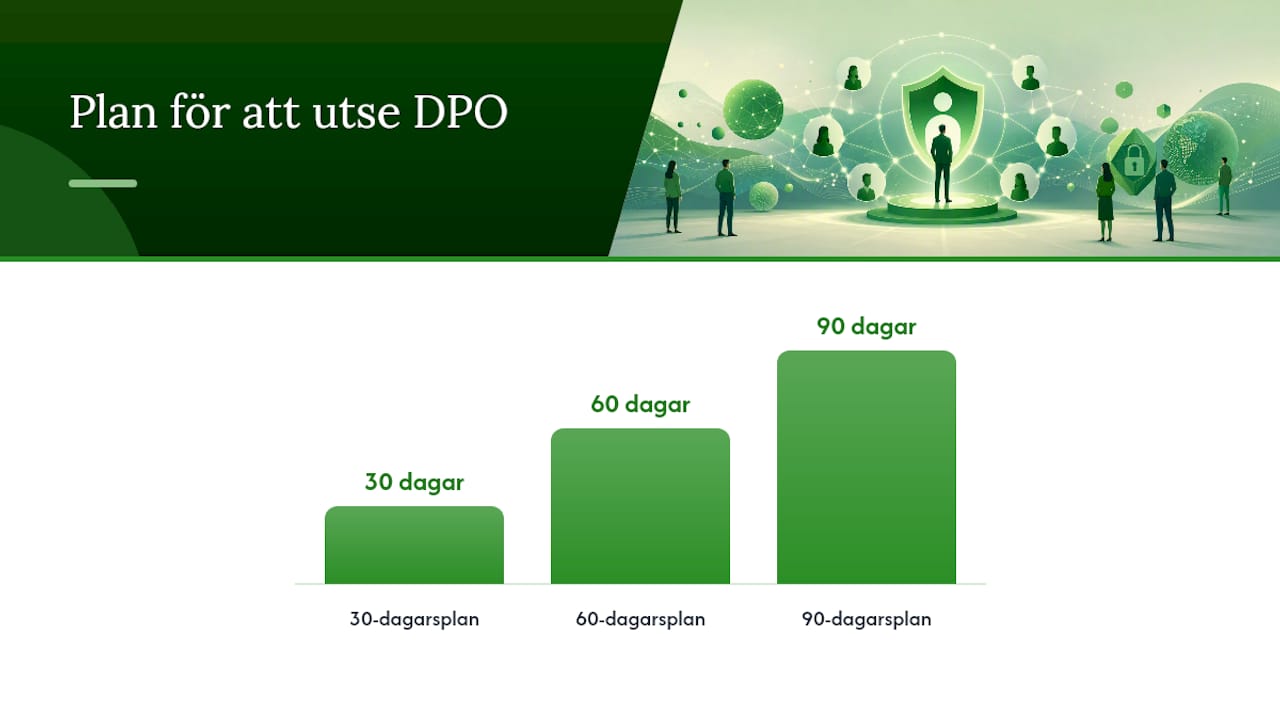 Hur utser du ett dataskyddsombud på rätt sätt? — overview diagram