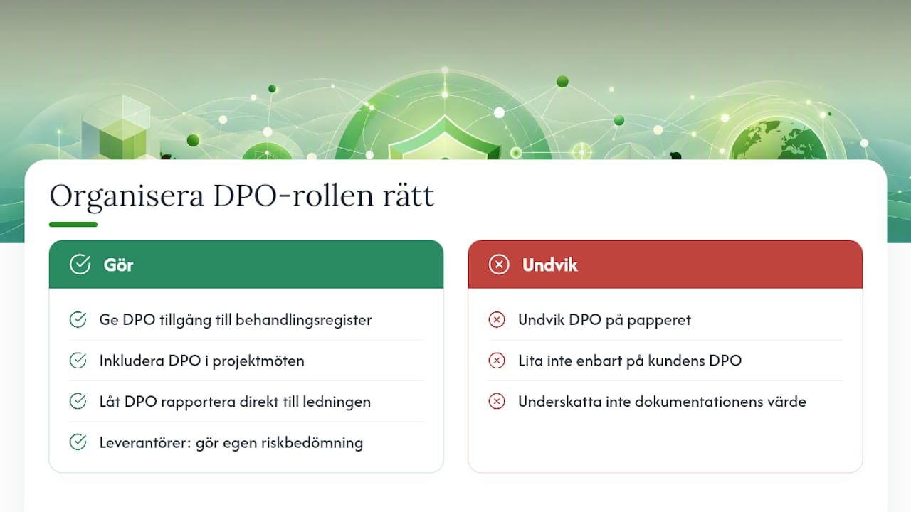 Det som sällan sägs om DPO-kravet — overview diagram